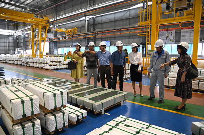 Đoàn công tác Tổng cục Thống kê giám sát điều tra Doanh nghiệp tại thành phố Hải Phòng