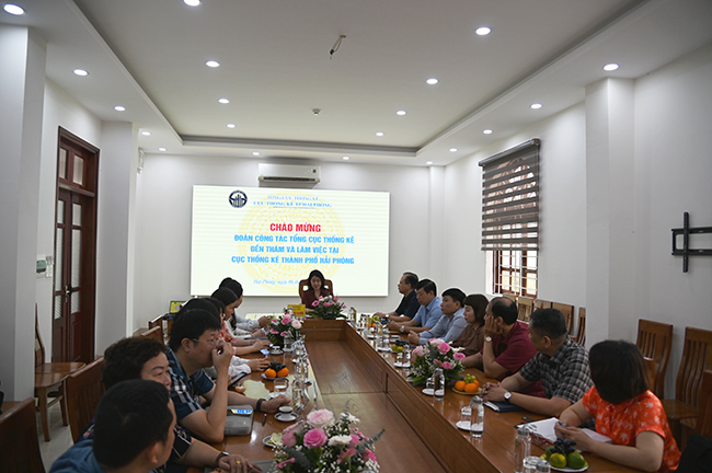 Đoàn công tác Tổng cục Thống kê giám sát điều tra Doanh nghiệp tại thành phố Hải Phòng